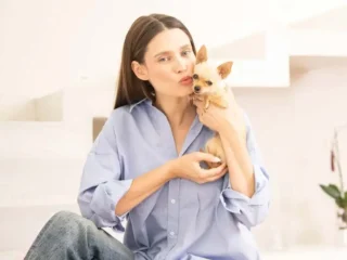 Biancabalti Chihuahua Vip