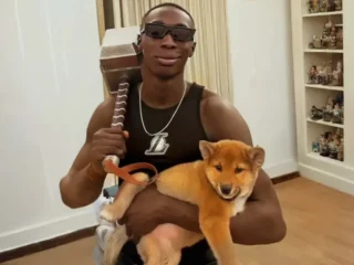 Shiba Inu Khabilame Vip