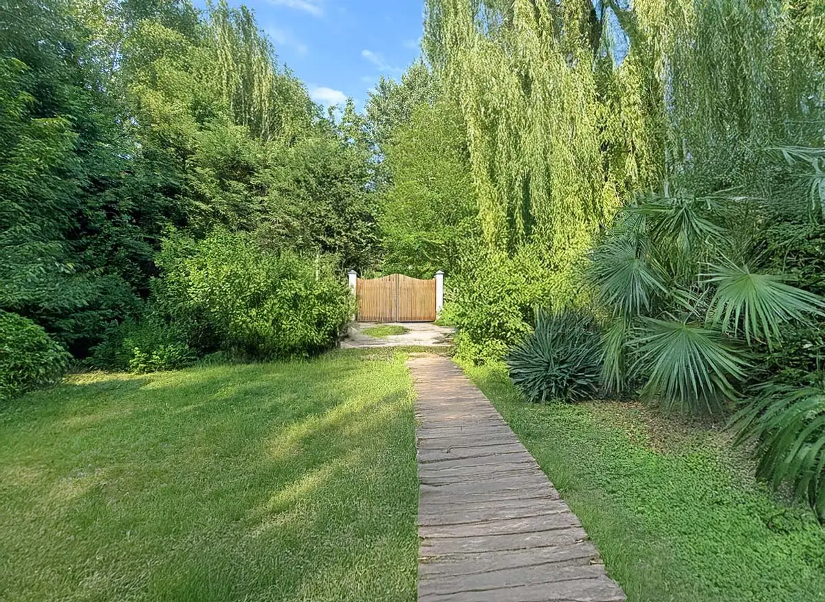 Allevamento Cani di razza