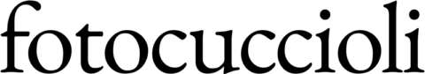 Logo V3 A4167 480w