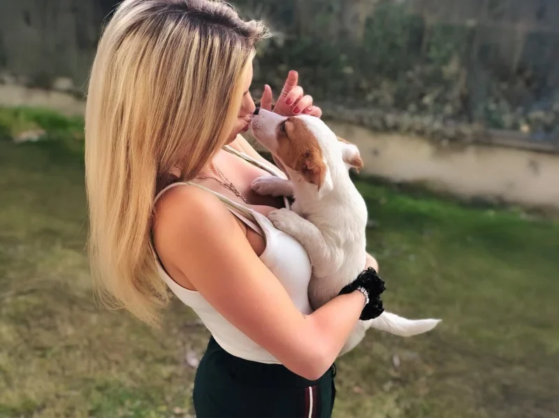 Ludovicapagani Spike Jack Russell